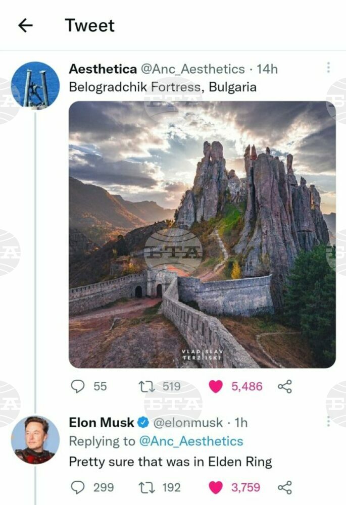 Elon Musk Expected to Visit Bulgaria after Praising Belogradchik Rocks on Twitter