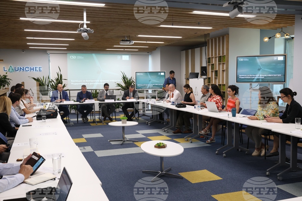 Половината от всички смущения в европейската електропреносна мрежа през 2023 г. са причинени от България, стана известно на форум в София