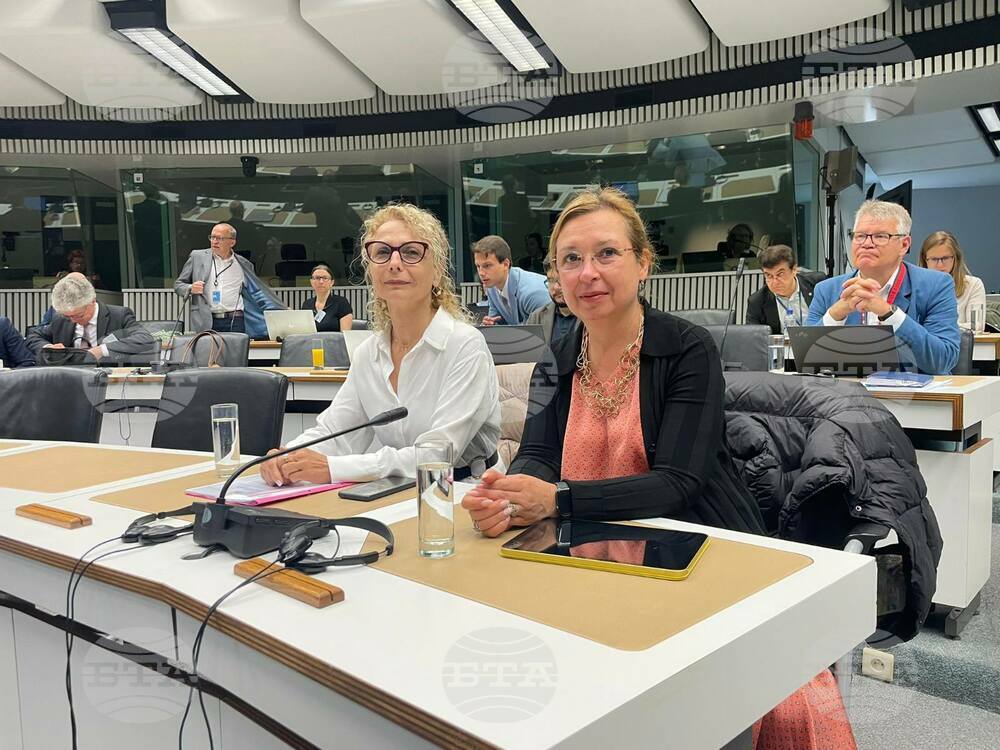 Economic and Social Council Gives Performance Report at Annual Meeting of EU ESCs and EESC