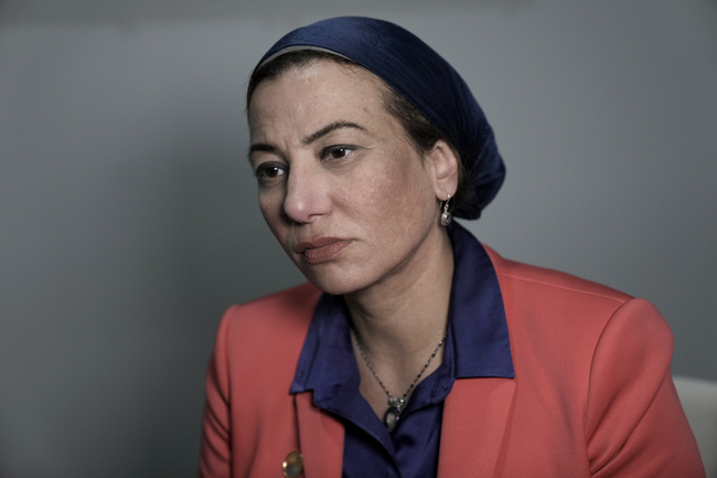 МЕНА: Египетският министър на околната среда беше избрана за следващ изпълнителен секретар на Конвенцията на ООН за борба с опустиняването