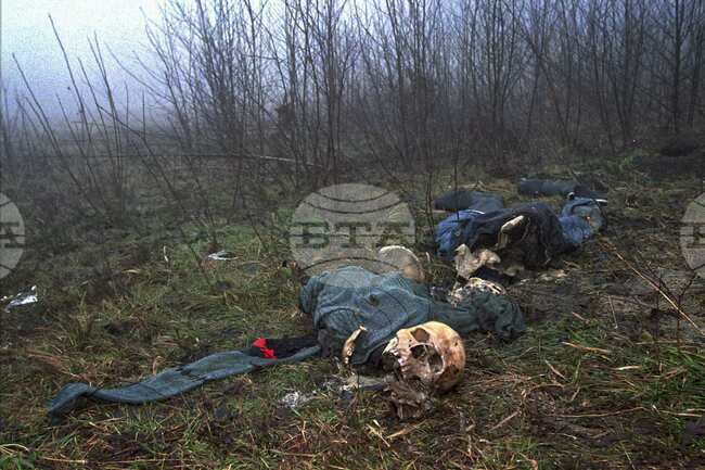 Останките на 243 изчезнали по време на войната в Босна и Херцеговина са идентифицирани за пет години