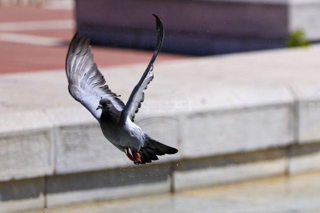 Прогноза за времето