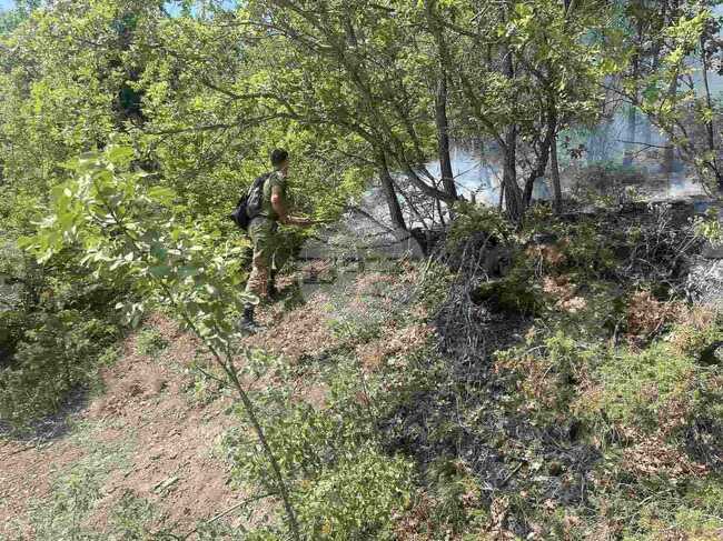 Удължиха срока за забрана за движение в горите в Северна Македония заради продължаващата опасност от пожари