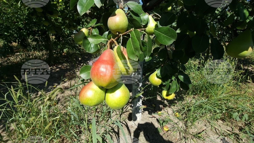 Interest in Organic Production Rises across Country