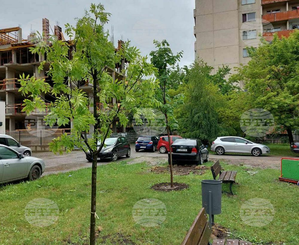 Общо 297 са новозасадените дървета на територията на Столичния район „Студентски“ през последните две години