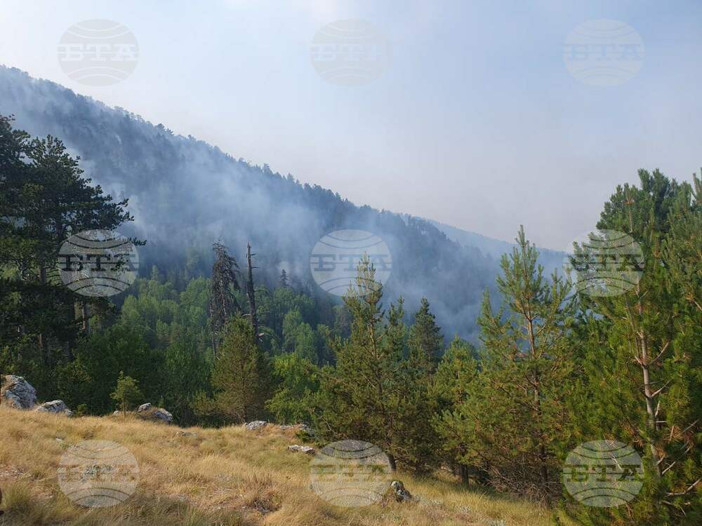 Wildfire in Greece Reaches Border with Bulgaria