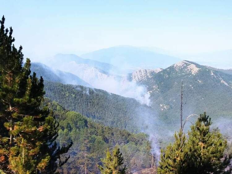 Около 30-40 метра е навлязъл на българска територия пожарът, който гори на българо-гръцката граница