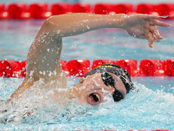 Paris Olympics Swimming