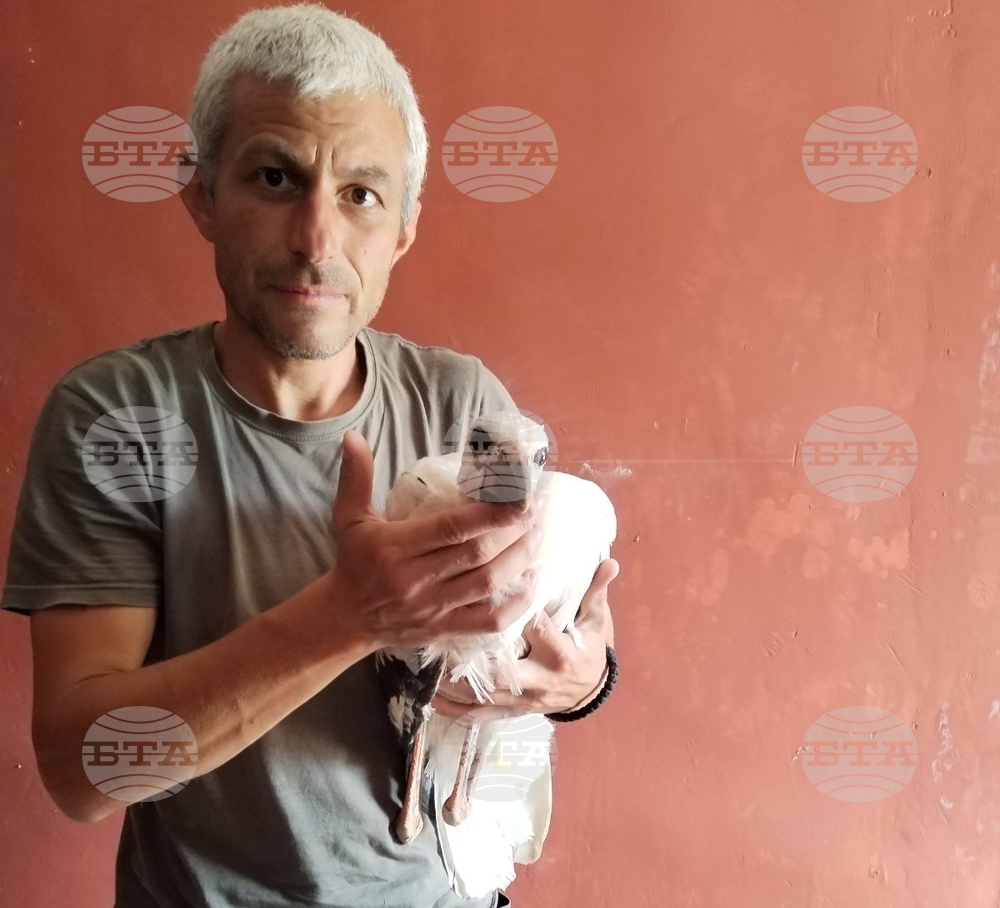 Жители на село Аспарухово спасиха ранен щъркел