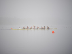 Paris Olympics Rowing