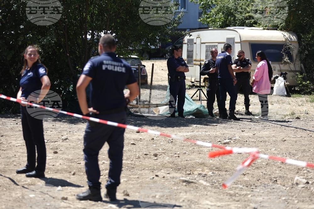 Sofia Zoo Accommodates Crocodile Found in Sofia Suburb