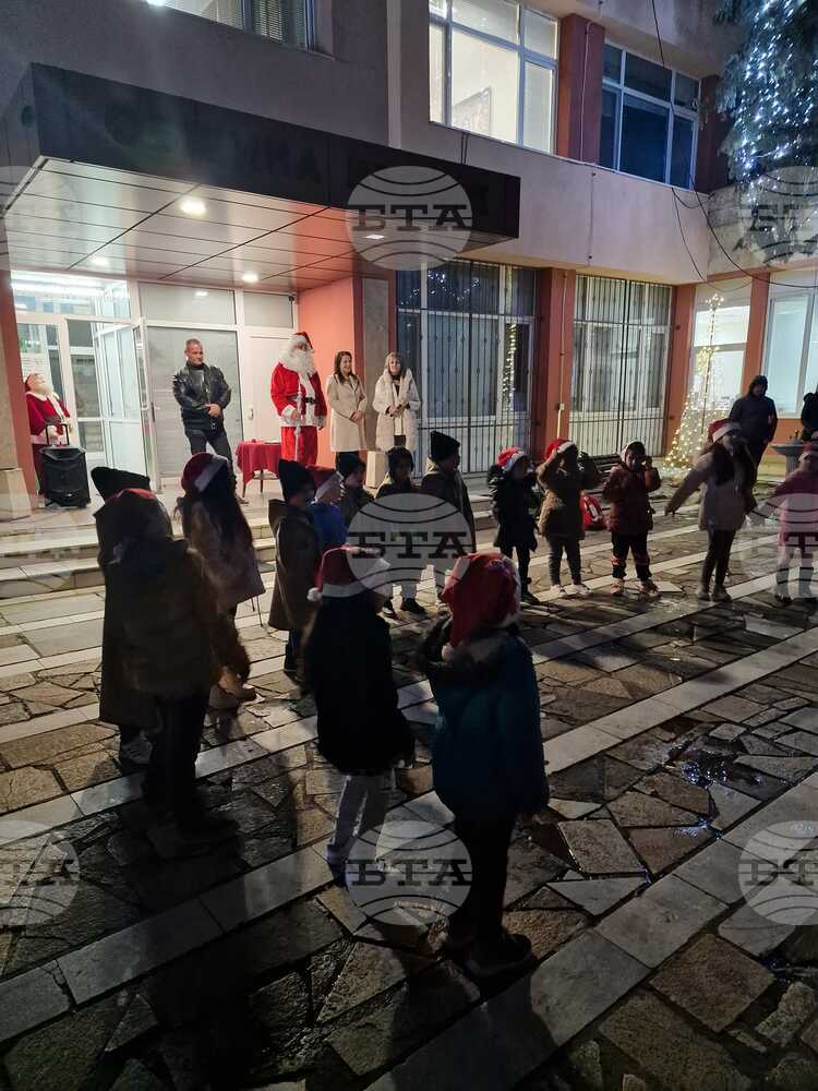 Мъглиж грейна в коледна премяна
