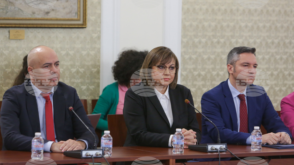 BSP Expresses Respect for Gabrovski's Professionalism, but Would Not Support a Government Headed by Him