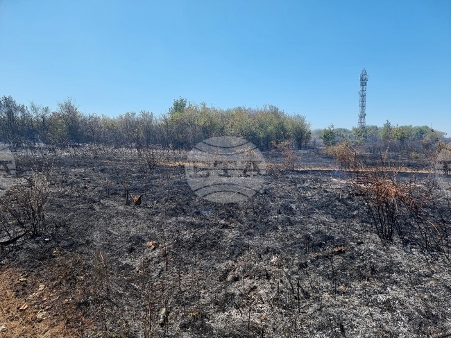 При пожари в Монтанско за ден са изгорели 173 декара сухи треви и храсти