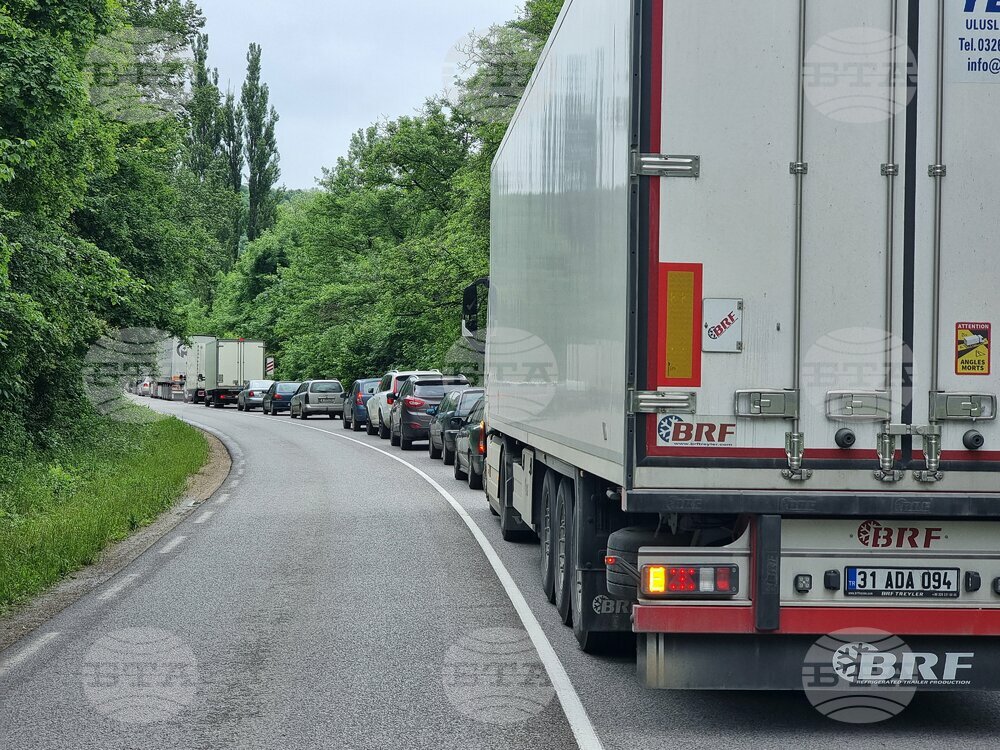Движението през прохода Петрохан от Монтана към София е затруднено заради паднало дърво