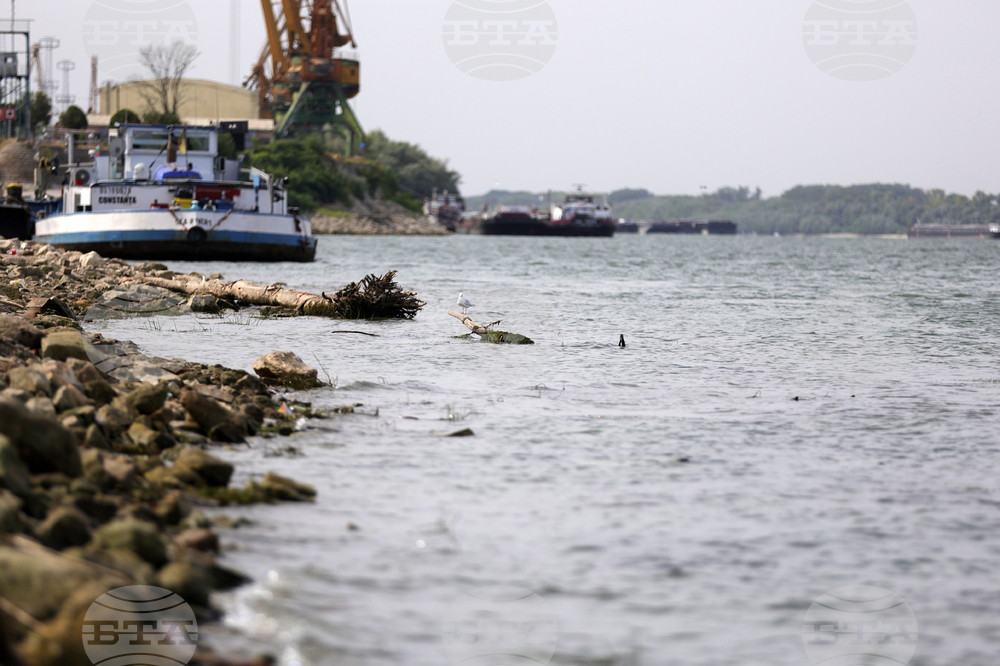 Low Level of Danube Hinders Shipping in Bulgarian Section