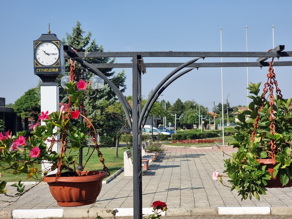 Общинският съвет в Стралджа прие промени в наредбите за обществения ред и регистрацията на превозни средства с животинска тяга