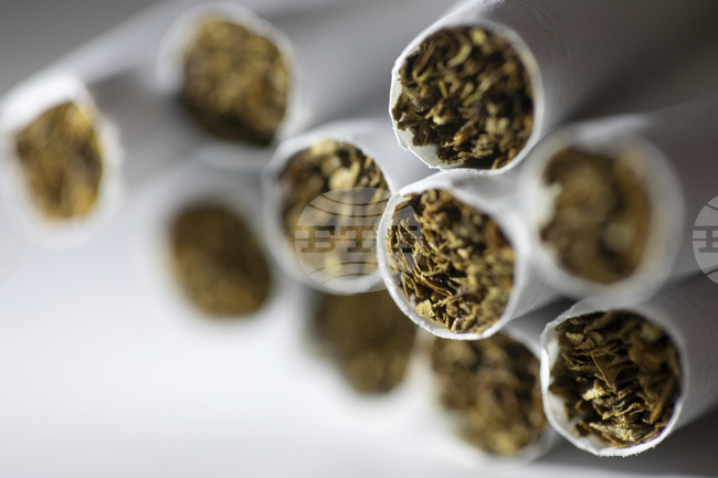 Хърватската митническа администрация унищожи 27 тона контрабанден тютюн на стойност 1,3 милиона евро