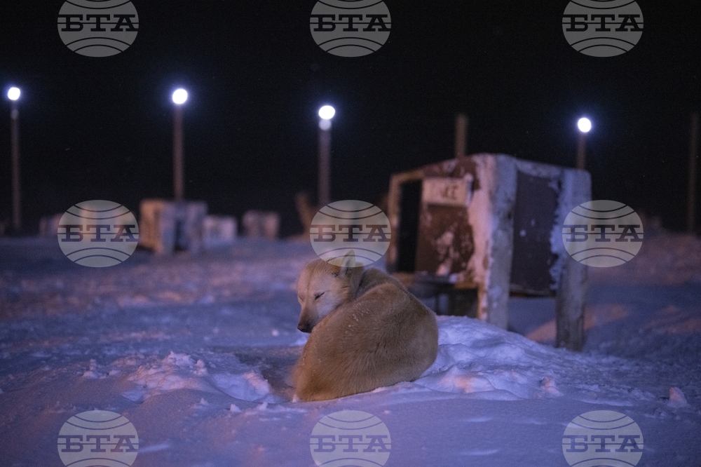 Норвегия планира да отвори рекорден брой блокове в Арктика за проучвания за въглеводороди