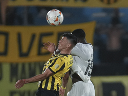 Uruguay Brazil Soccer Copa Libertadores