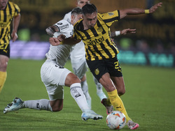 Uruguay Brazil Soccer Copa Libertadores
