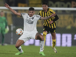 Uruguay Brazil Soccer Copa Libertadores