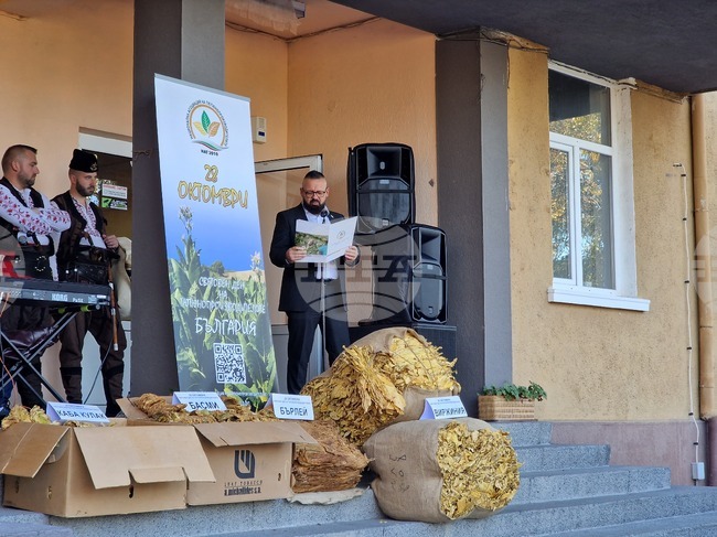 Тютюнопроизводителите са изправени пред сериозни предизвикателства, предупреди председателят на браншова асоциация Цветан Филев