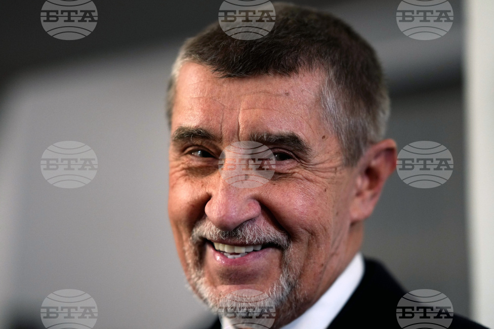 Бившият чешки премиер Андрей Бабиш е бил нападнат по време на предизборен митинг