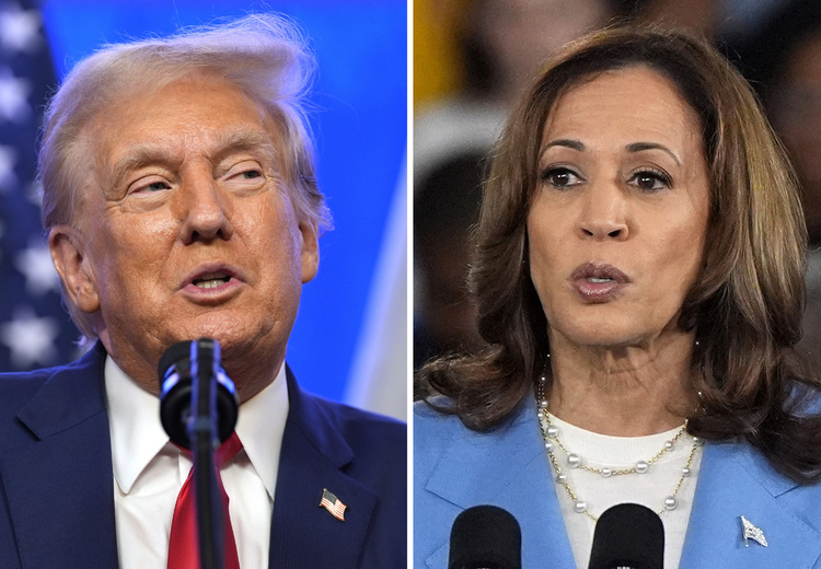 Trump leads with 213 electoral votes, while Harris has 145