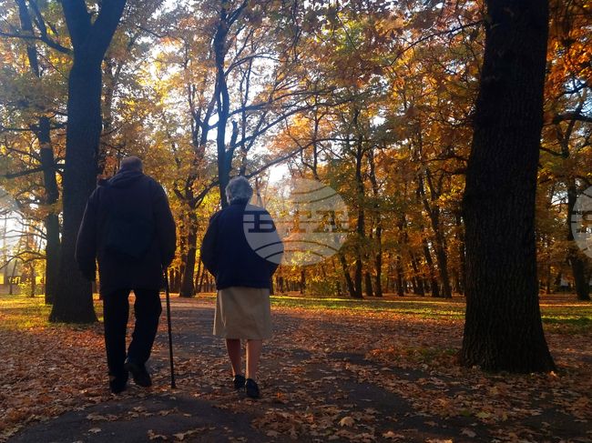 Расте броят на белгийците, предпочели ранното пенсиониране